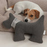 Plüschhund FRED Paddy mit Halstuch, bester Kumpel, schöne Geschenkidee, nur schonendes antrocknen