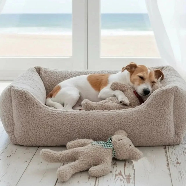 Beige plüschteddy charly paddy hundebett aus weichem, strukturiertem stoff für gemütliche hundepausen