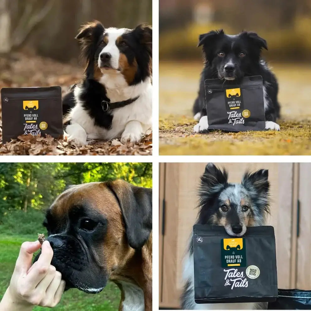 Schwarzer Beutel Tales & Tails pferd voll Pferdefleisch Leckerli für Hunde