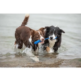 Zwei Hunde mit tau-spielzeug spiely im Wasser, robustes design, hundespielzeug