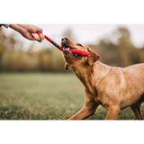 Brauner Hund spielt mit tau-spielzeug spiely aus robustes design hundespielzeug