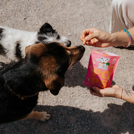 Pink pouch mit verdog hundepops hundeleckerlis 20 g mit cartoon hund logo und orangenen lettern für hundespielzeug