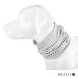 Grauer Wolters Watchout Kühlschal für Hunde auf Hundemodell, perfekt für kalte Tage